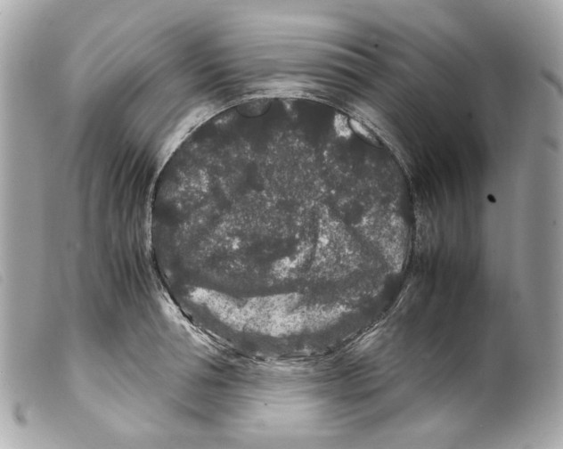 X0000099310994200805301150