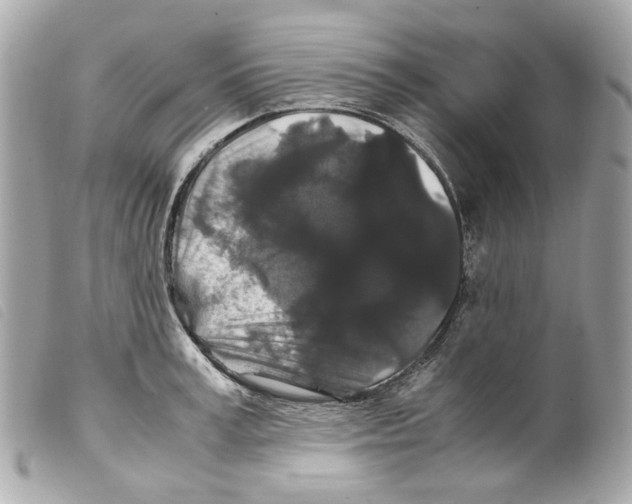 X0000099310995200805301150