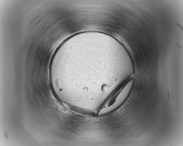 X0000099310996200805301150