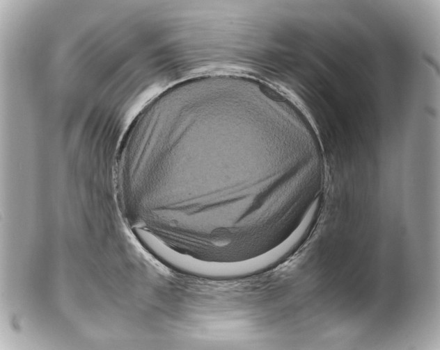 X0000099310997200805301150