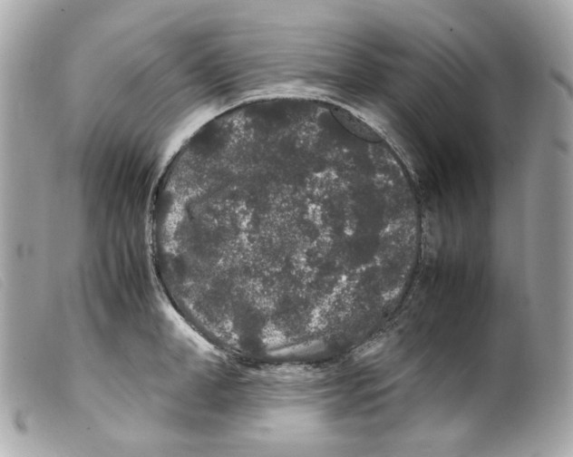 X0000099310998200805301150