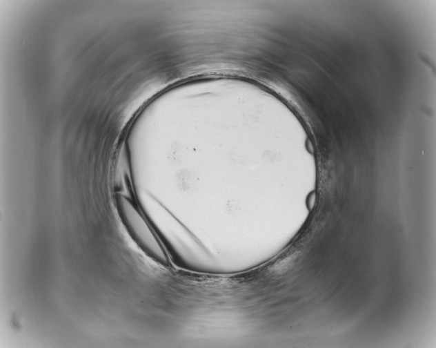 X0000099310999200805301150