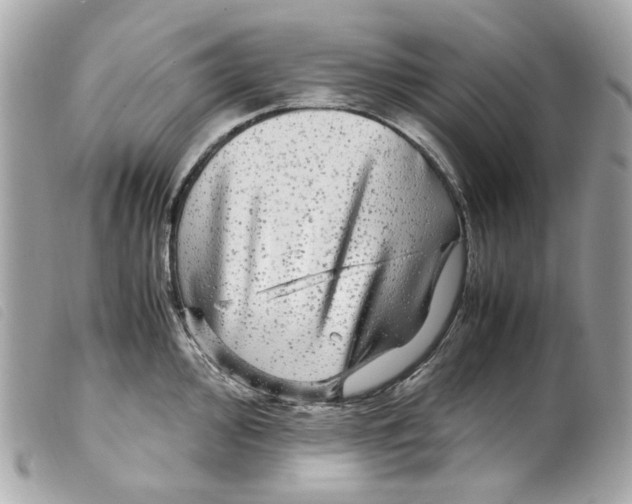 X0000099311000200805301150