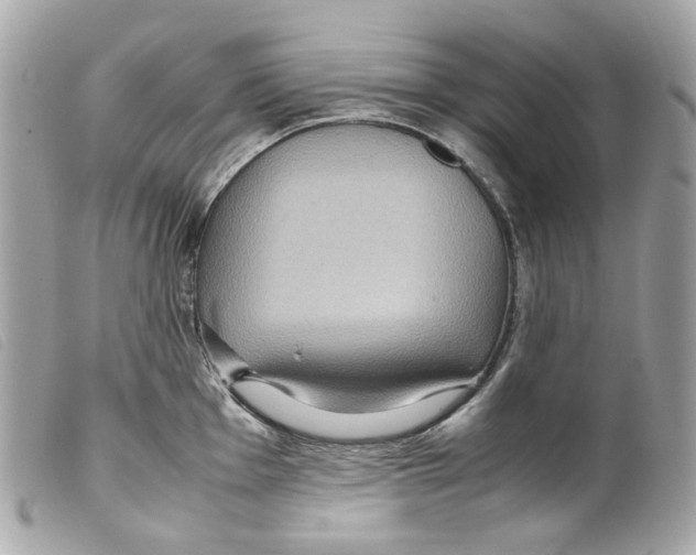 X0000099311001200805301150