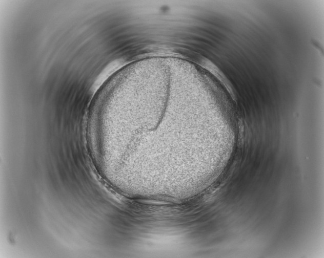 X0000099311002200805301150