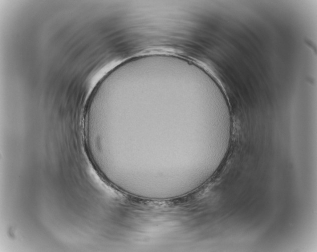 X0000099311003200805301150