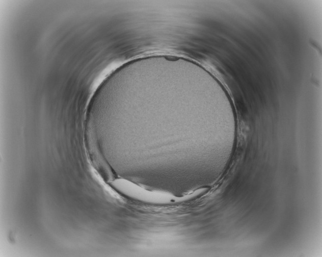 X0000099311005200805301150