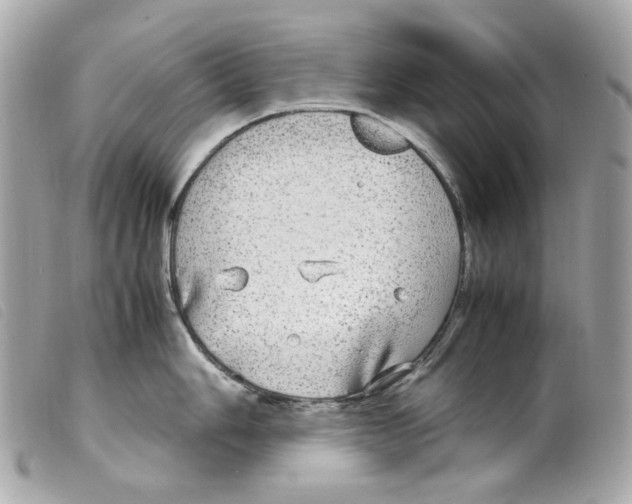 X0000099311006200805301150