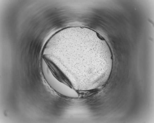 X0000099311008200805301150