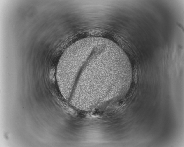 X0000099311010200805301149