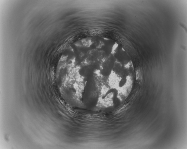 X0000099311011200805301149