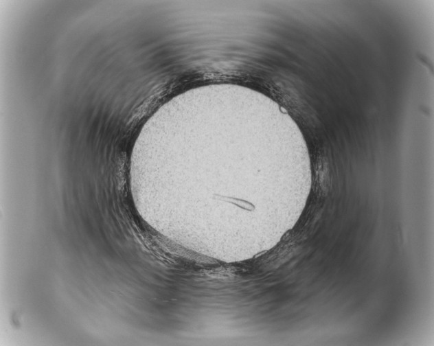 X0000099311012200805301149