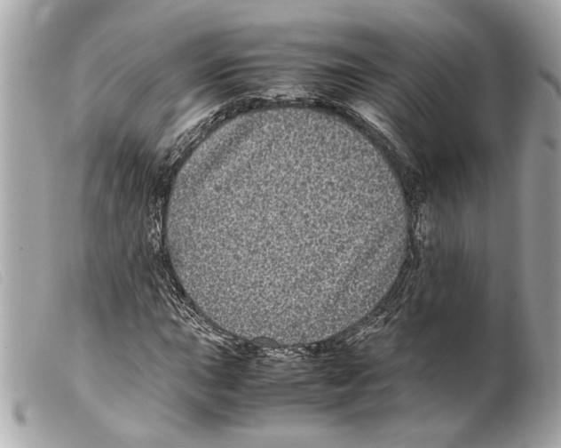 X0000099311015200805301149