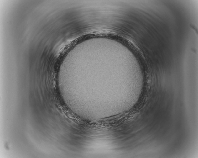 X0000099311016200805301149