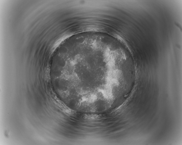 X0000099311019200805301149