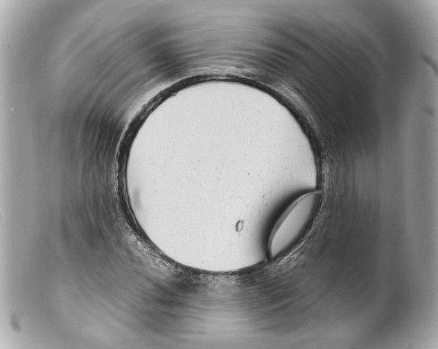 X0000099311020200805301149