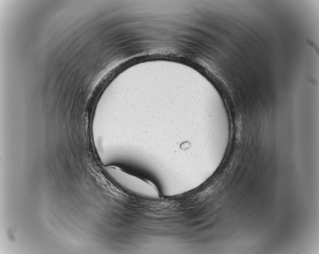 X0000099311021200805301149