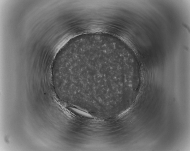 X0000099311023200805301149