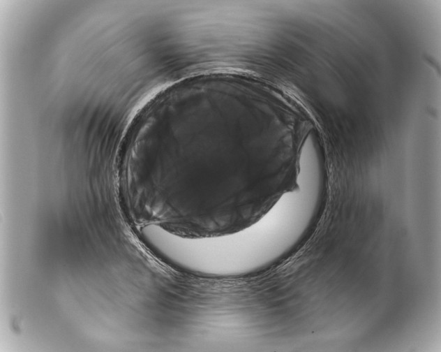 X0000099311024200805301149