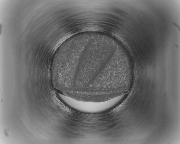 X0000099311025200805301150