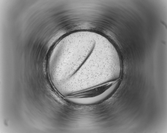 X0000099311026200805301150