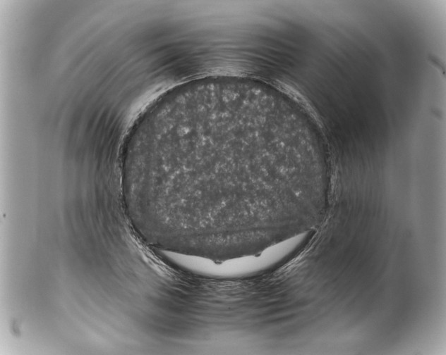 X0000099311027200805301150