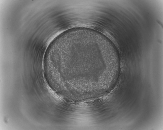 X0000099311028200805301150