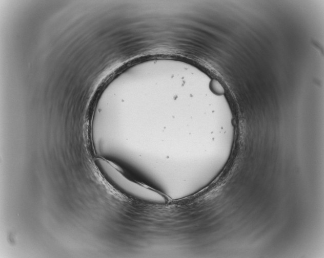 X0000099311029200805301150