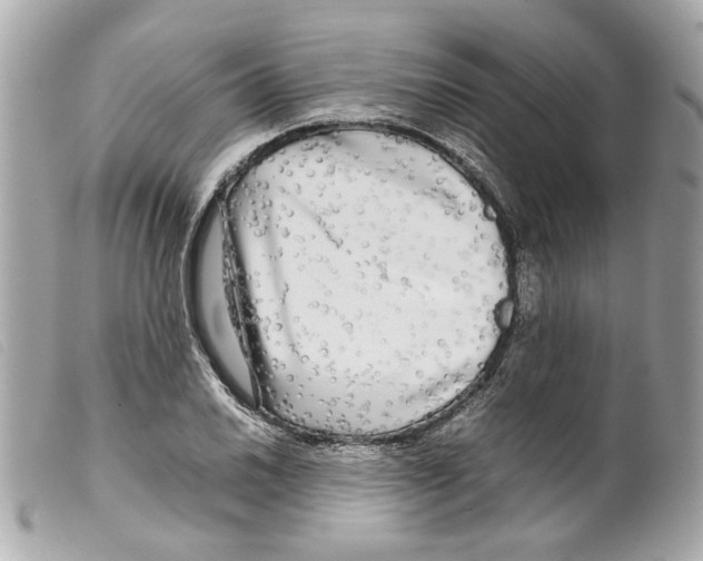 X0000099311030200805301150