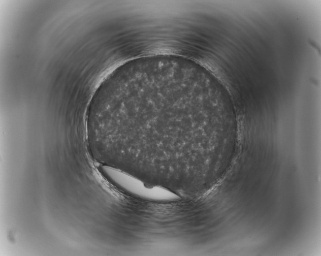 X0000099311031200805301150