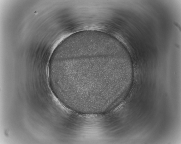 X0000099311032200805301150