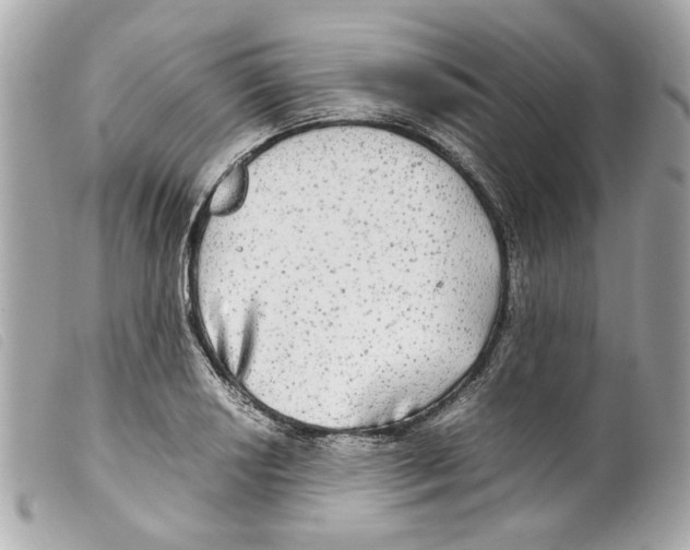 X0000099311034200805301150