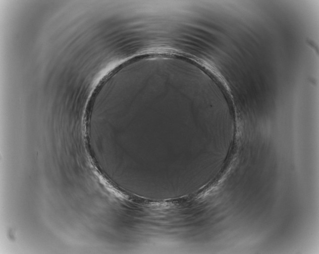 X0000099311037200805301150