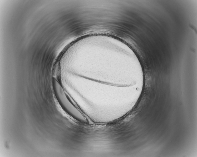 X0000099311038200805301150