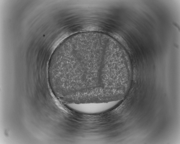 X0000099311039200805301150