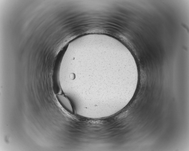 X0000099311041200805301150