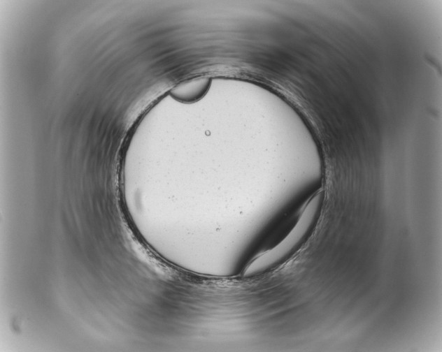 X0000099311042200805301150