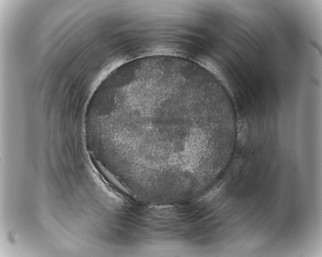 X0000099311043200805301150