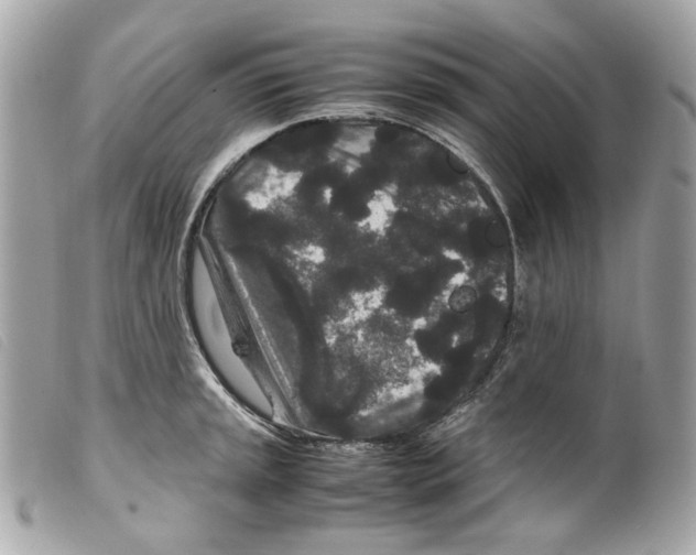 X0000099311045200805301150