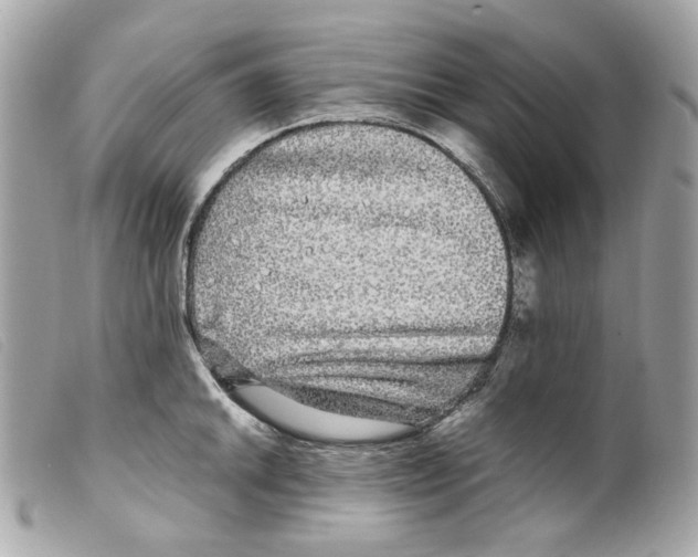 X0000099311046200805301150