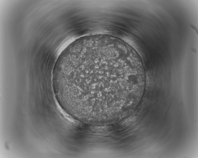 X0000099311047200805301150