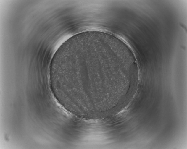 X0000099311048200805301150