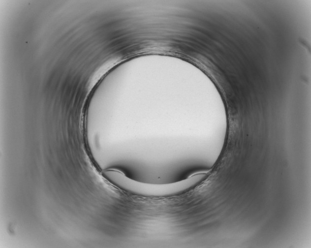 X0000099311050200805301150