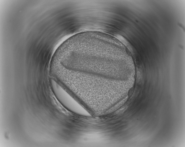 X0000099311052200805301150