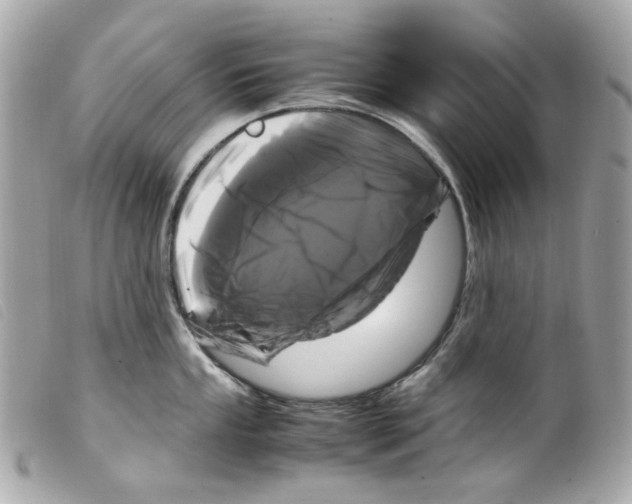 X0000099311053200805301150