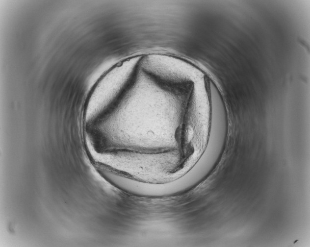 X0000099311054200805301150