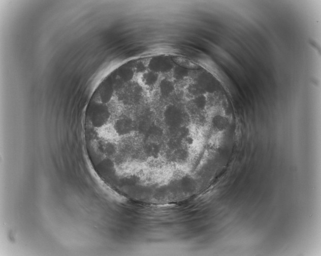 X0000099311055200805301150