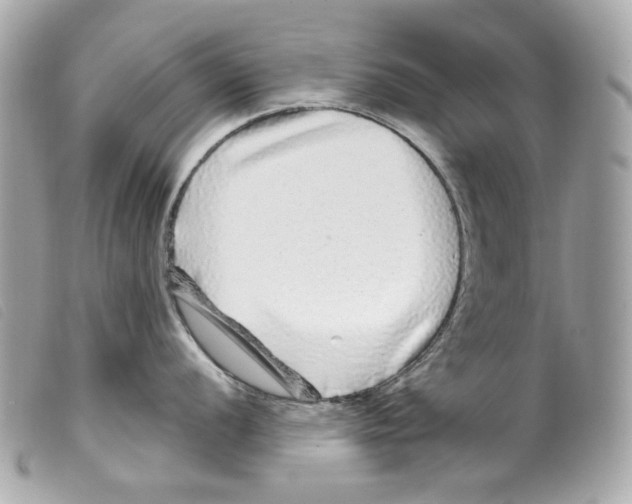 X0000099311056200805301150