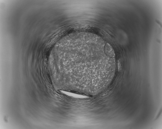 X0000099311059200805301149