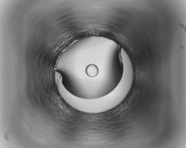 X0000099311060200805301149